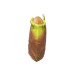 TY Squish-A-Boos "GROOT" 20 см