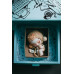 POP MART surprise toy with SKULLPANDA collectible figure Everyday Wonderland series (SPE-01)