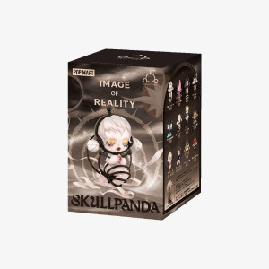 Surprise Toy with a SKULLPANDA Collectible Figure (Image of Reality Series)